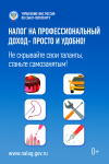 Налог на профессиональный доход.